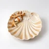 Medium bord beige koraal